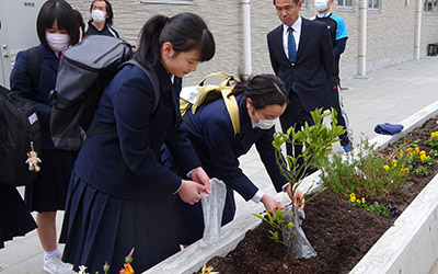 中学校に「ゆうこう」植樹