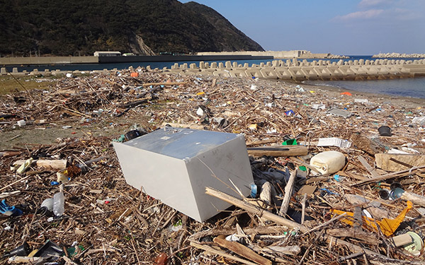 湾岸漂流物調査in対馬