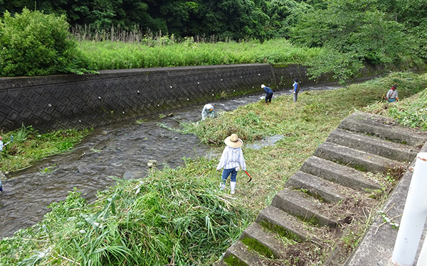 草刈り清掃作業